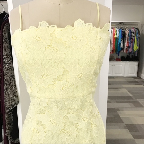 sunshine lace sheath dress